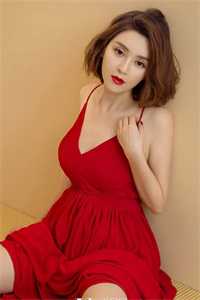 昨日迷途畅销巨作