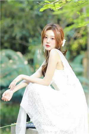 被白眼狼灵鸟辜负后，我怒当宗主高质量小说阅读