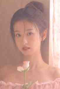 爱意随风星坠落结局