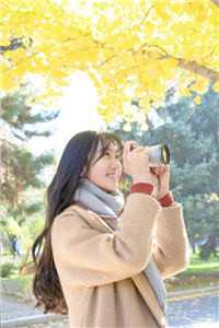 淮书向林飞全集