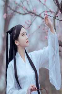 八个瑞士卷，我反手离婚嫁总裁前文+后续