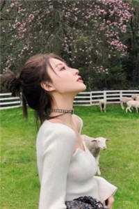我与你长痛短爱：结局+番外最新