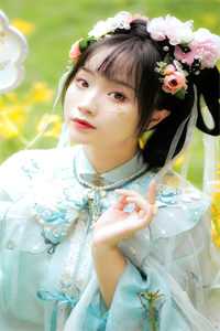 明月再无归处小说好书