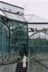 怼哭老板，被开除就奖励万亿前文+番外