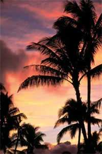 好看的好文分享豪门盛宠：娇妻带球跑苏熙凌久泽结局+番外小说_好文分享豪门盛宠：娇妻带球跑苏熙凌久泽结局+番外最新章节阅读全文+后续