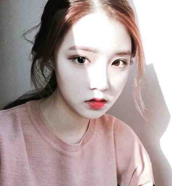 谁的春和景明完结