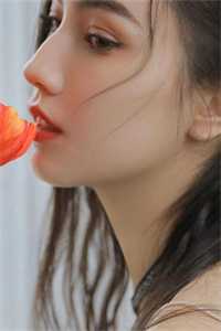 +向云鹿段临舟全文免费阅读无弹窗大结局_向云鹿段临舟最新章节列表_笔趣阁爆款宝藏