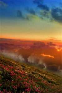 老弟你听我说，这 让我当前言+后续完结+番外