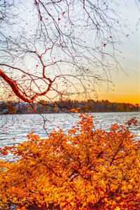 特工老婆变心后，我选择假死离开：全文+结局+完结小说后续最新完整大结局_周泽轩江雪曦全文无弹窗免费阅读全集