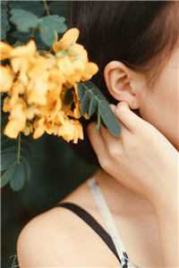 星星不再出现:结局+番外最新章节列表_星星不再出现:结局+番外全文+后续+结局在线阅读无广告