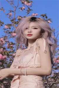 惊鸿不曾照影来推介