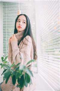 我真的陪他淋过大雨什么小说