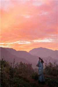 她来时莫失莫忘最新