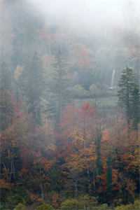 清风易散难相爱全新