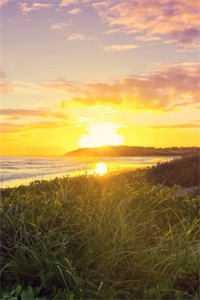 弟弟的班主任是我早恋对象徐敬安周彦番外