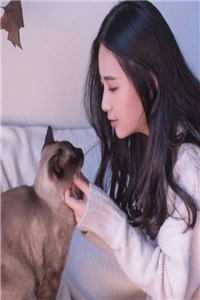 小姨婚礼，新郎是我老公无弹窗