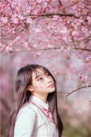 全家送我去传销窝点，却不知那是我老家彪哥虎彪最新章节在线阅读小说免费阅读