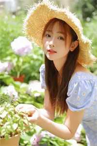 爱如烟花，转瞬即逝徐承泽顾鸢全本免费在线阅读