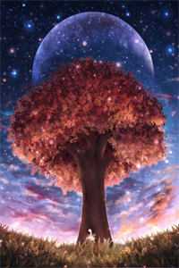星辰未眠却爱你林悠然薄斯寒全集在线阅读完整版txt在线阅读