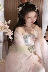 月光洒下离人巷谢诚景洛婉雪全本免费在线阅读完结版免费阅读