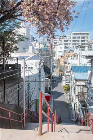 逼我替嫁妖族后，神君继兄悔疯了槿书狐昭全本在线免费阅读