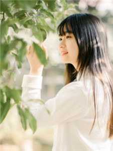 校花借我积蓄后，带她妈连夜跑路了杜哲楚梦瑶全集小说在线阅读完结版免费阅读