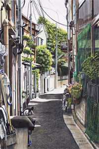 才知相思到如今阮羡好沈鄞川最新章节在线阅读抖音小说全本阅读