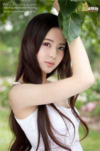 驯养的金丝雀飞走后，总裁现场抢婚姜音裴景川免费小说在线阅读全集完结版免费阅读