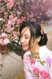 山海再无相逢姚婉清凌轩完整版无删减在线阅读