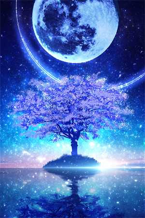 焰火如誓：+后续+结局沈星回柳如烟全文免费阅读完结版阅读