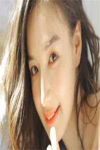 见鸢抖音热门全文免费大结局阅读全集在线阅读小说