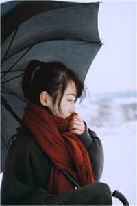 癌症晚期，高冷老婆疯狂报复我沈云汐傅南琛完结版在线阅读最新章节在线阅读