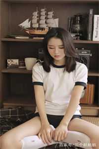 等悲欢沉默：免费+番外宋怀景许年年全章节免费在线阅读完结版免费阅读