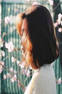 改嫁摄政王，我复仇虐渣妹骆宁萧怀沣完结版免费阅读全本在线