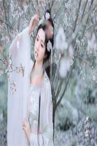 奈何情深不渡：+后续+结局免费全本在线免费阅读
