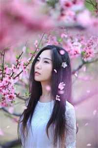踏入豪门圈复仇，剧情却变甜宠？傅司砚王芸免费阅读完整版txt小说无删减
