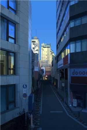 手撕王爷小白莲后，王妃和离了司若南裴奕辰全本笔趣阁小说在线免费阅读无广告