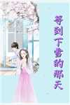长叹雁归难留：结局+番外,顾裴延江照璃免费全集在线阅读小说无删减