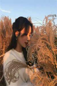 最后的轻语玉佩青梅全集在线阅读有声小说