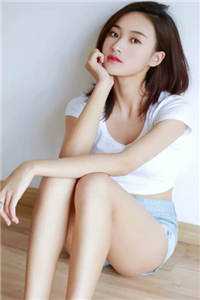 爱已离港谢婉婉沈渡完结版免费阅读全本在线