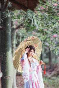桃花依然笑春风：结局+后续+完本免费最新小说免费阅读