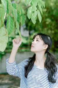 此去经年人未还霍沉洲沈青禾全文完整版在线免费阅读小说