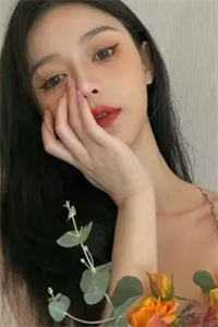 南风未起，故人不归陆辰西沈妙芙全文免费大结局阅读全集在线阅读小说