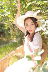 金丝雀订婚后，傅少求做提款机禾念安傅璟忱全章节阅读,全文免费在线阅读