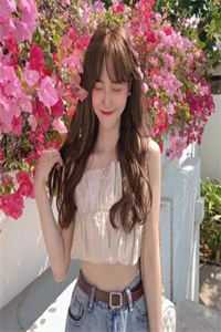 我的儿子变成了女儿苏寒月林凡全文在线阅读精彩小说