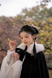 被指控团队抄袭后，我不解释了秦朗宁柔全章节免费在线阅读完结版免费阅读