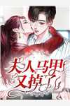 太子退婚娶孤女后，悔疯了元安沈云锦最新章节阅读全文免费阅读