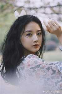 风起时爱已荒芜顾长歌宋锦最新章节阅读全文免费阅读