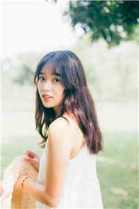 太极门赘婿叶凡唐若雪完整版免费阅读全章节在线