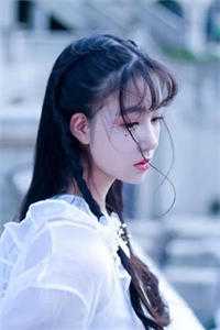 位居省委，开局被妻子举报苏玉黎锦免费小说在线阅读全集听书